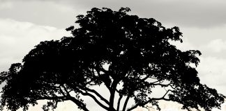 Blacksmith – The Journey Blacksmith - The Journey